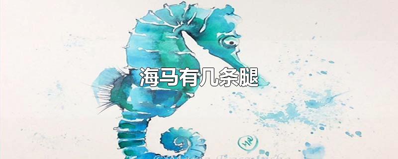 海马有几条腿