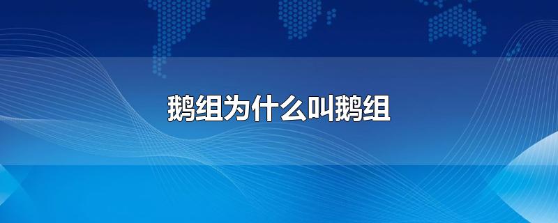 鹅组为什么叫鹅组-最新鹅组为什么叫鹅组整理解答