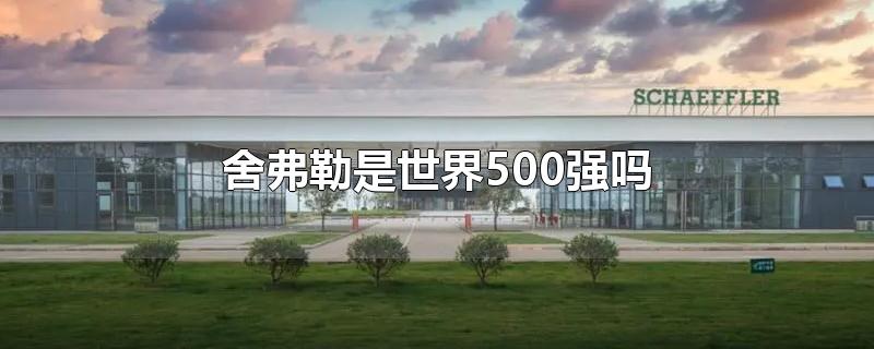 舍弗勒是世界500强吗