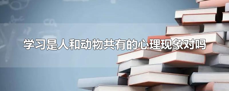 学习是人和动物共有的心理现象对吗-最新学习是人和动物共有的心理现象对吗整理解答