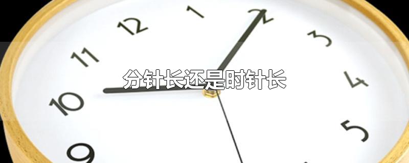 分针长还是时针长