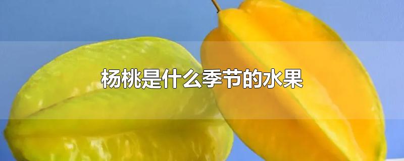 杨桃是什么季节的水果-最新杨桃是什么季节的水果整理解答