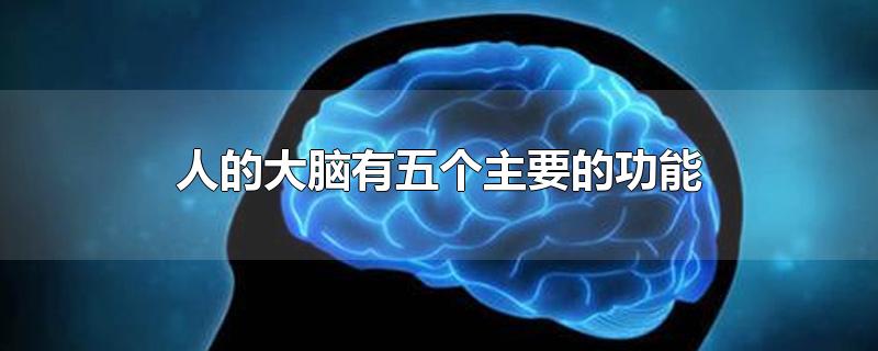 人的大脑有五个主要的功能-最新人的大脑有五个主要的功能整理解答