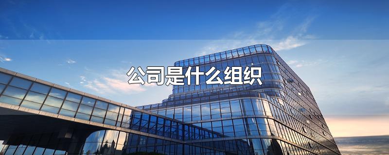 公司是什么组织