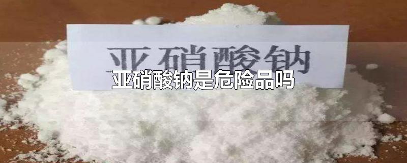 亚硝酸钠是危险品吗