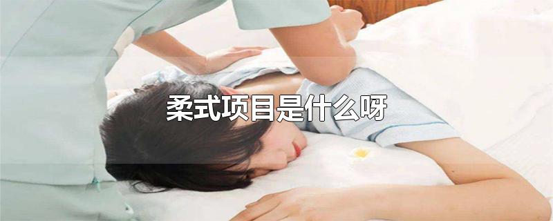 柔式项目是什么呀