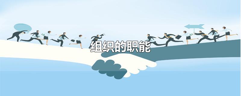 组织的职能-最新组织的职能整理解答