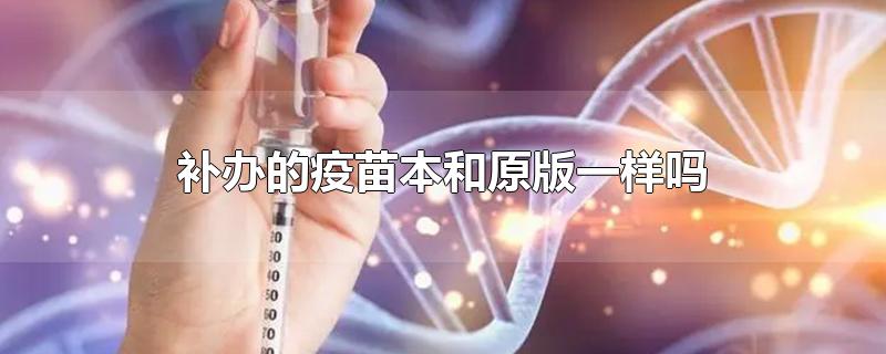 补办的疫苗本和原版一样吗-最新补办的疫苗本和原版一样吗整理解答