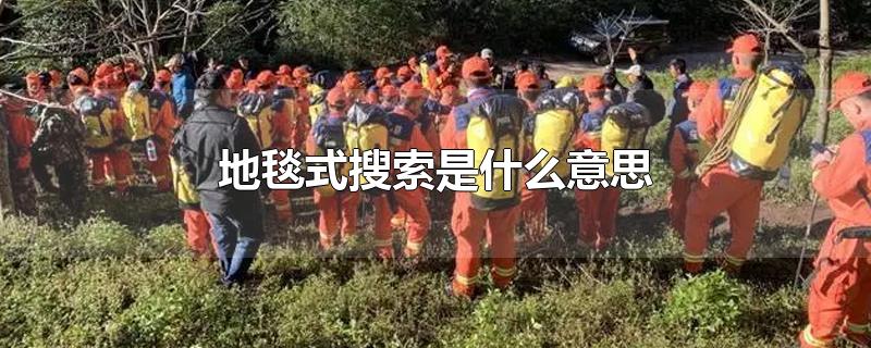 地毯式搜索是什么意思-最新地毯式搜索是什么意思整理解答