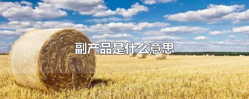 副产品是什么意思-最新副产品是什么意思整理解答