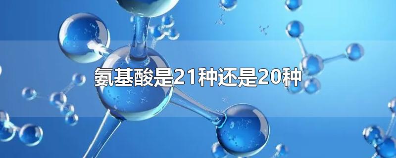 氨基酸是21种还是20种-最新氨基酸是21种还是20种整理解答