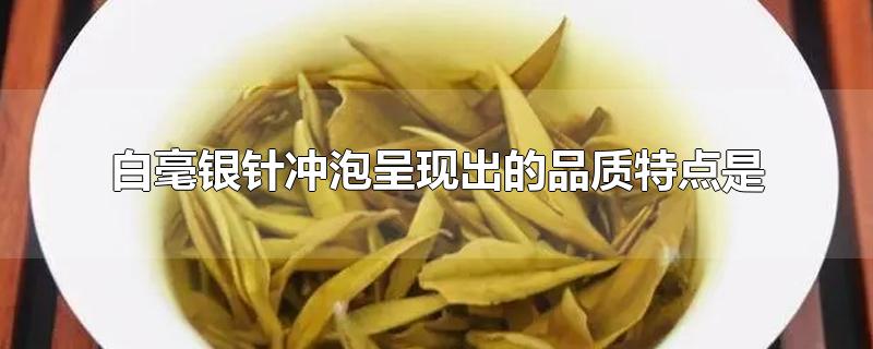 白毫银针冲泡呈现出的品质特点是