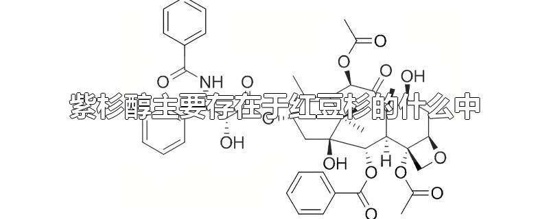 紫杉醇主要存在于红豆杉的什么中-最新紫杉醇主要存在于红豆杉的什么中整理解答