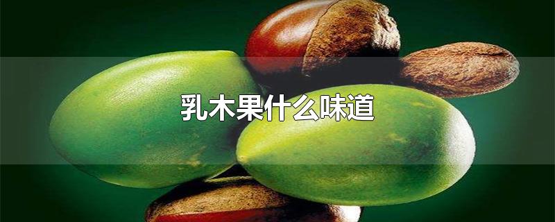 乳木果什么味道-最新乳木果什么味道整理解答