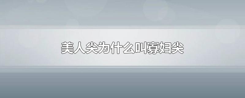 美人尖为什么叫寡妇尖-最新美人尖为什么叫寡妇尖整理解答