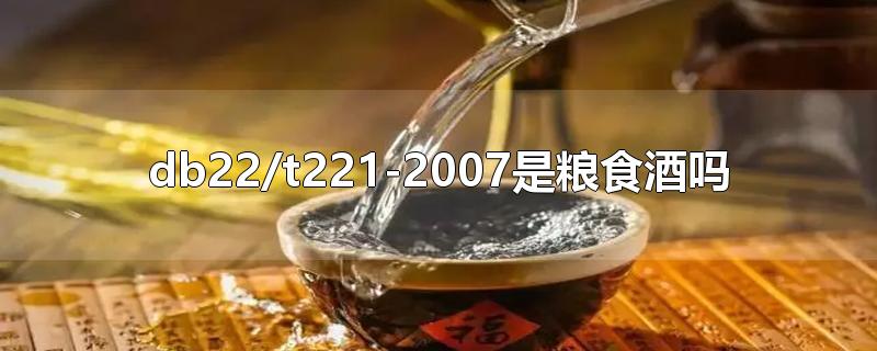 db22/t221-2007是粮食酒吗