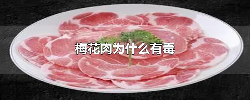 梅花肉为什么有毒