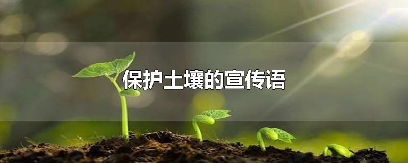 保护土壤的宣传语-最新保护土壤的宣传语整理解答