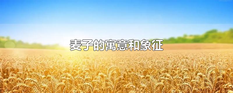 麦子的寓意和象征-最新麦子的寓意和象征整理解答