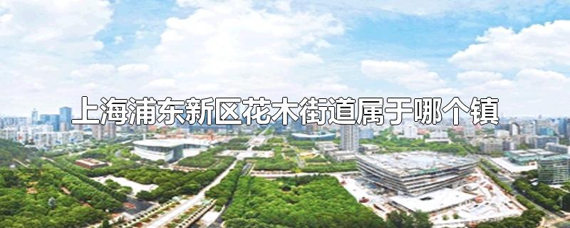 上海浦东新区花木街道属于哪个镇