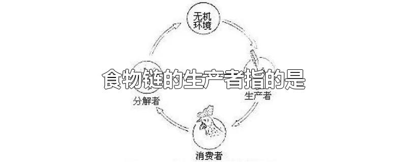 食物链的生产者指的是-最新食物链的生产者指的是整理解答