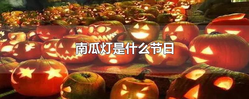 南瓜灯是什么节日-最新南瓜灯是什么节日整理解答