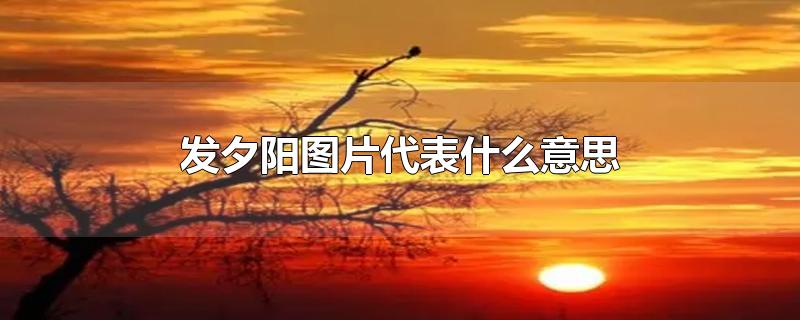 发夕阳图片代表什么意思