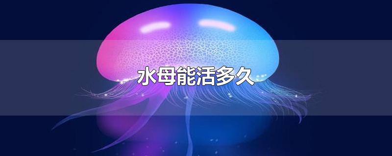 水母能活多久