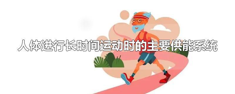 人体进行长时间运动时的主要供能系统