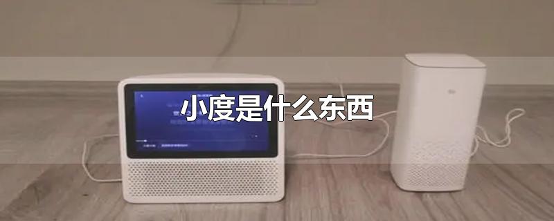 小度是什么东西