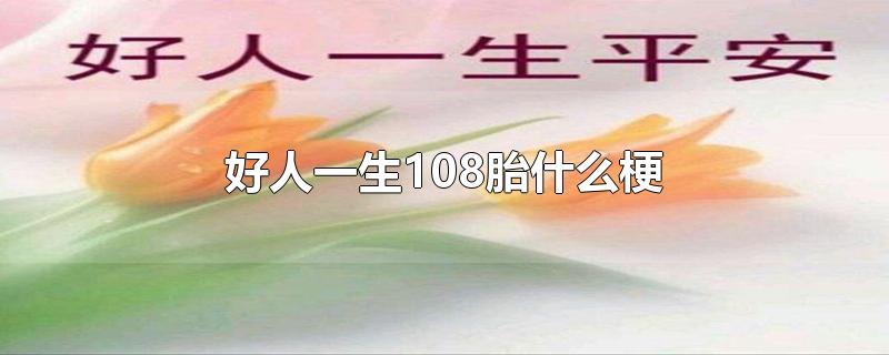 好人一生108胎什么梗