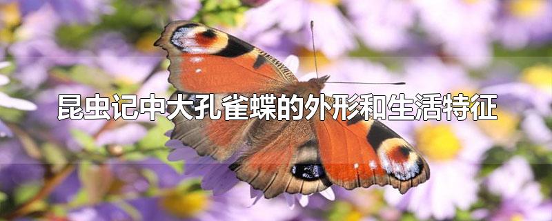 昆虫记中大孔雀蝶的外形和生活特征