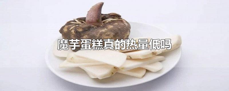 魔芋蛋糕真的热量低吗