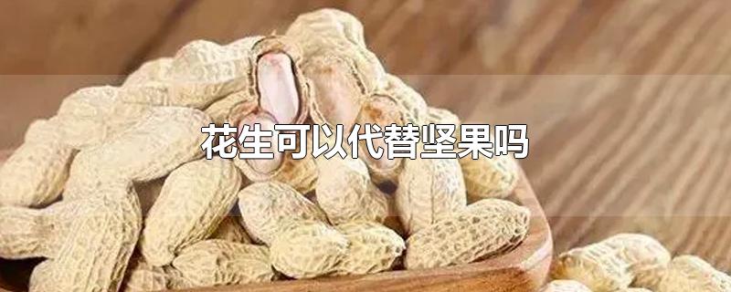 花生可以代替坚果吗-最新花生可以代替坚果吗整理解答