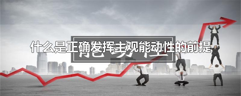 什么是正确发挥主观能动性的前提-最新什么是正确发挥主观能动性的前提整理解答