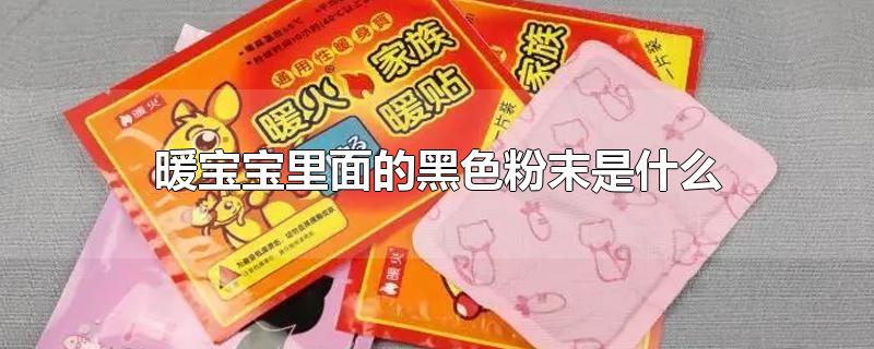 暖宝宝中的物质图片