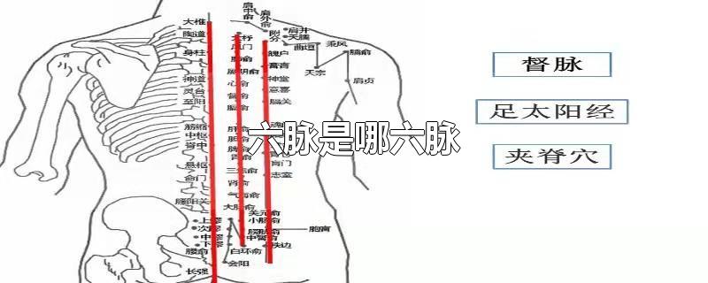 六脉是哪六脉-最新六脉是哪六脉整理解答