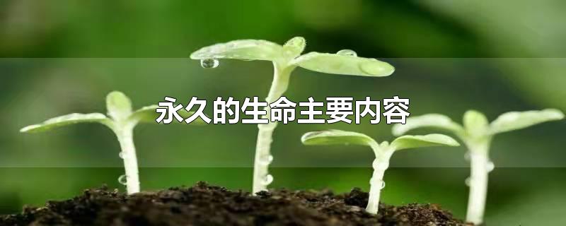 永久的生命主要内容-最新永久的生命主要内容整理解答