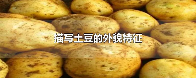 描写土豆的外貌特征-最新描写土豆的外貌特征整理解答