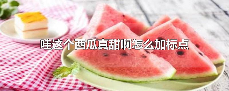 哇这个西瓜真甜啊怎么加标点