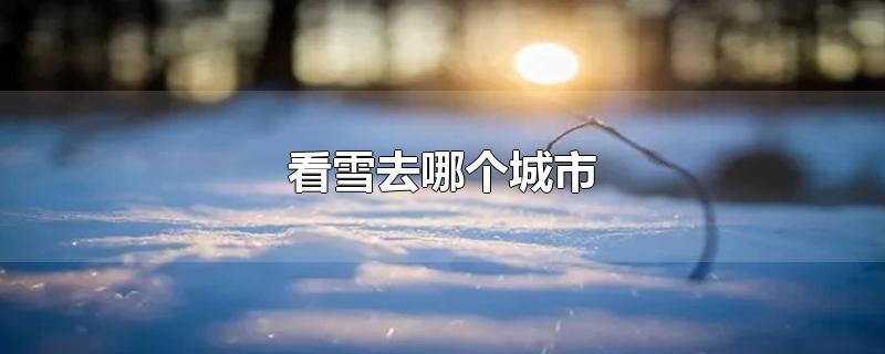 看雪去哪个城市