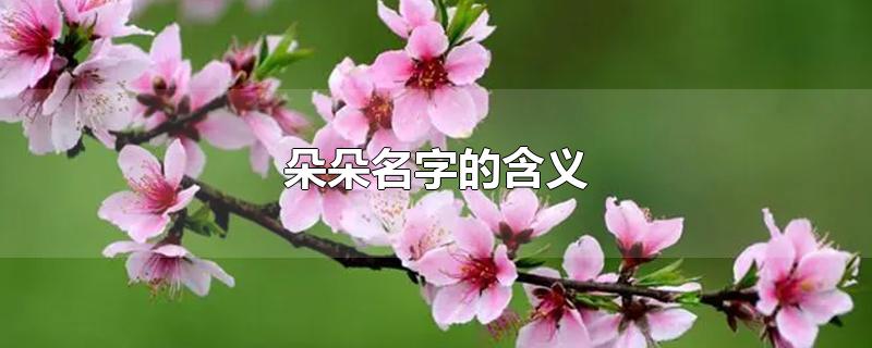 朵朵名字的含义-最新朵朵名字的含义整理解答