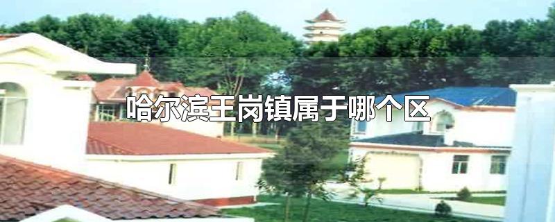 哈尔滨王岗镇属于哪个区