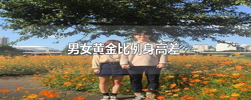 男女黄金比例身高差