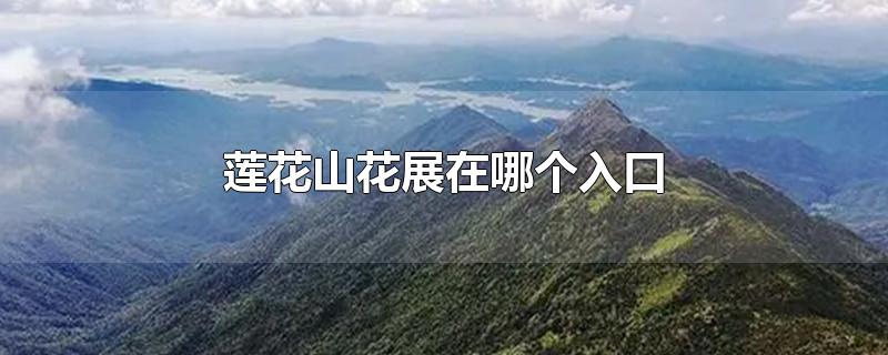 莲花山花展在哪个入口