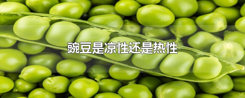 豌豆是凉性还是热性-最新豌豆是凉性还是热性整理解答