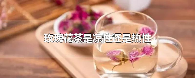 玫瑰花茶是凉性还是热性-最新玫瑰花茶是凉性还是热性整理解答