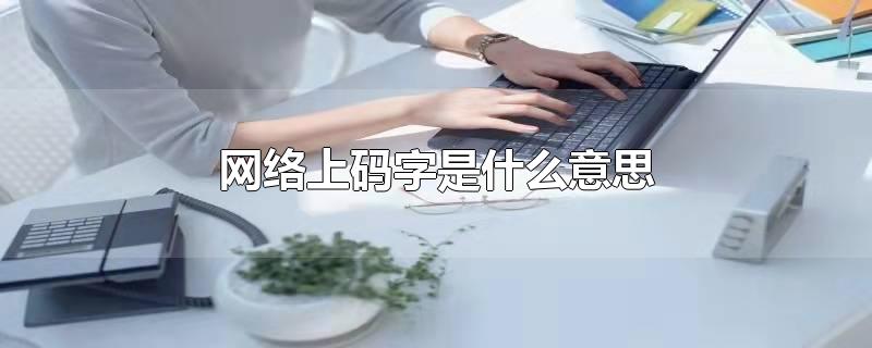 网络上码字是什么意思-最新网络上码字是什么意思整理解答