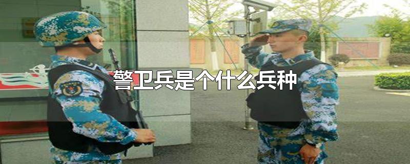 警卫兵是个什么兵种-最新警卫兵是个什么兵种整理解答