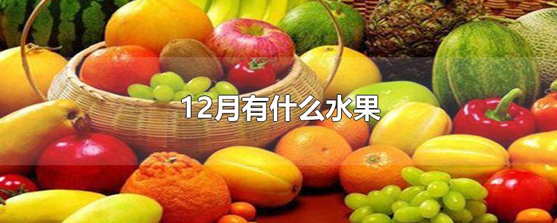 12月有什么水果